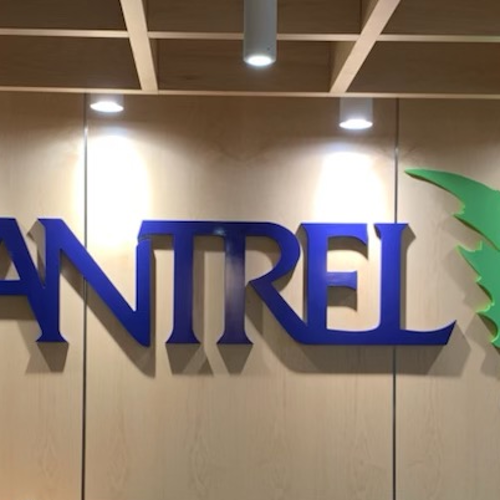 Wall Graphics